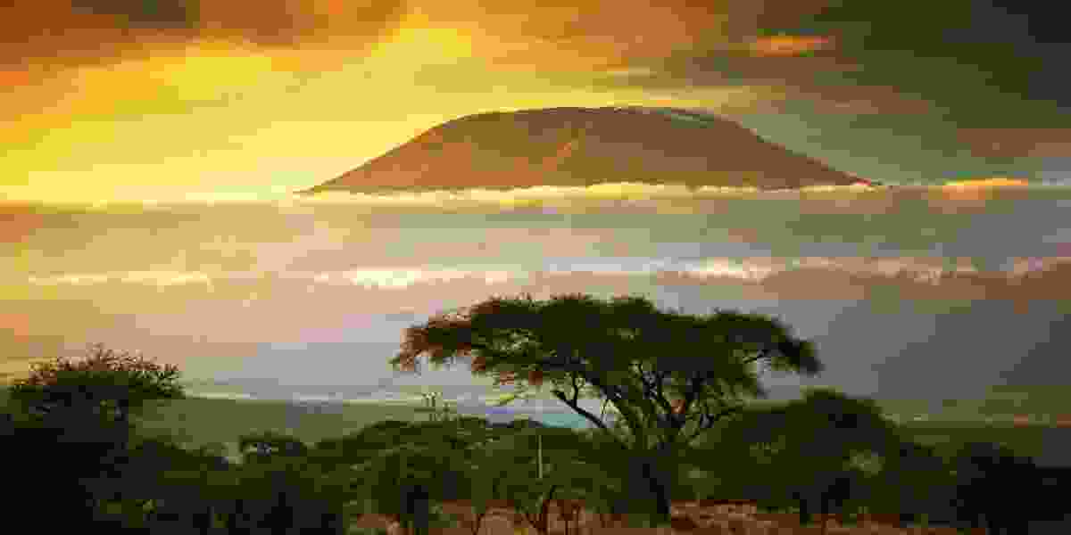 Kilimanjaro Photography